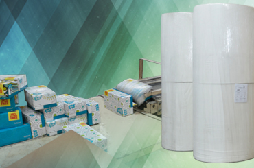 Facial Tissue Big